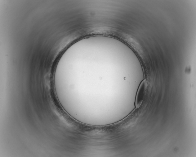 X0000090410578200707272051