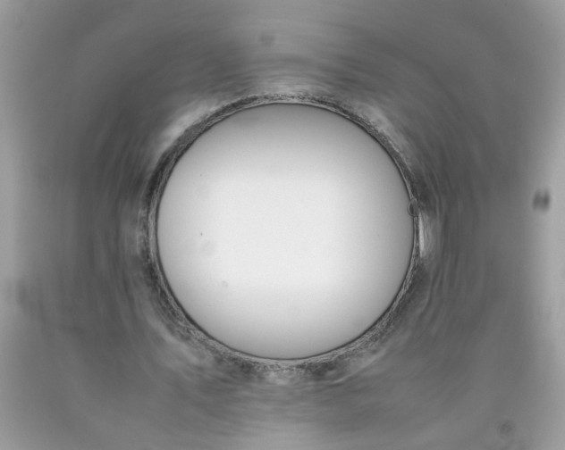 X0000090410579200707272051