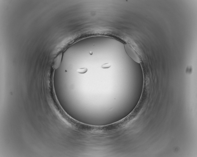 X0000090410581200707272051