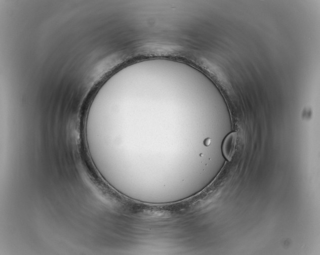 X0000090410582200707272051