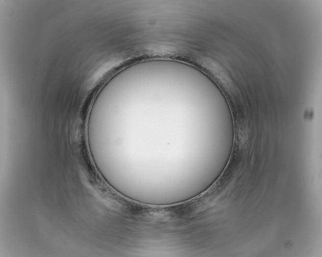 X0000090410583200707272051