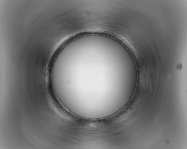X0000090410584200707272051