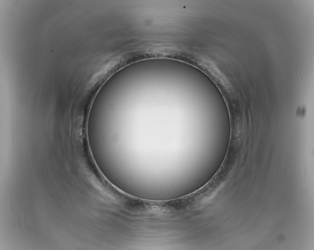 X0000090410585200707272051