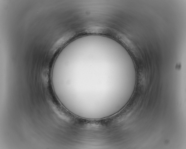 X0000090410586200707272051