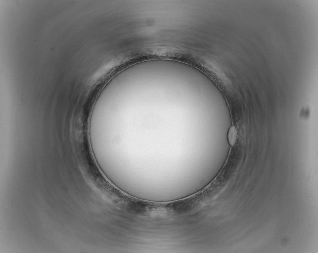 X0000090410587200707272051