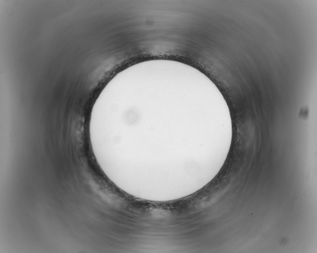 X0000090410592200707272051