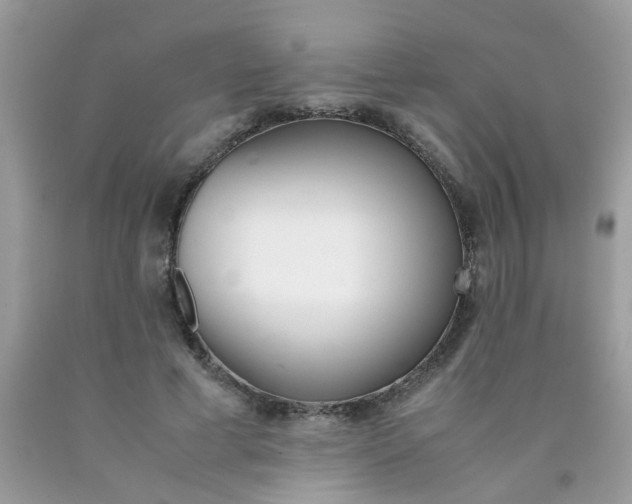 X0000090410593200707272051