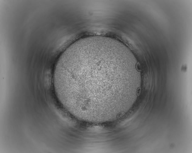 X0000090410594200707272051