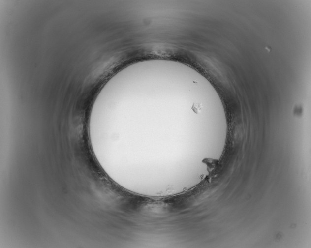 X0000090410595200707272051
