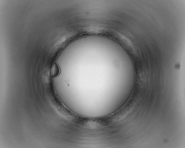 X0000090410596200707272051
