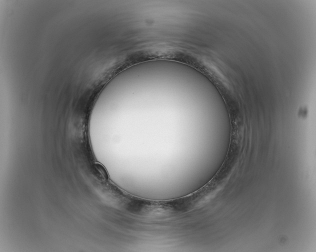 X0000090410597200707272051