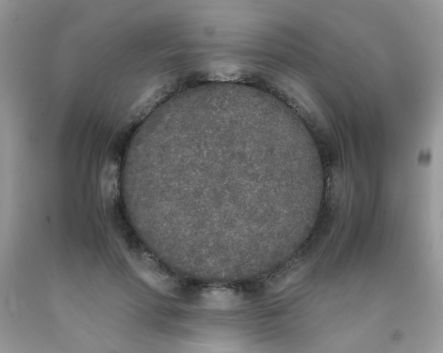 X0000090410598200707272051
