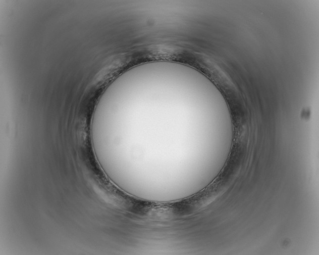 X0000090410599200707272051