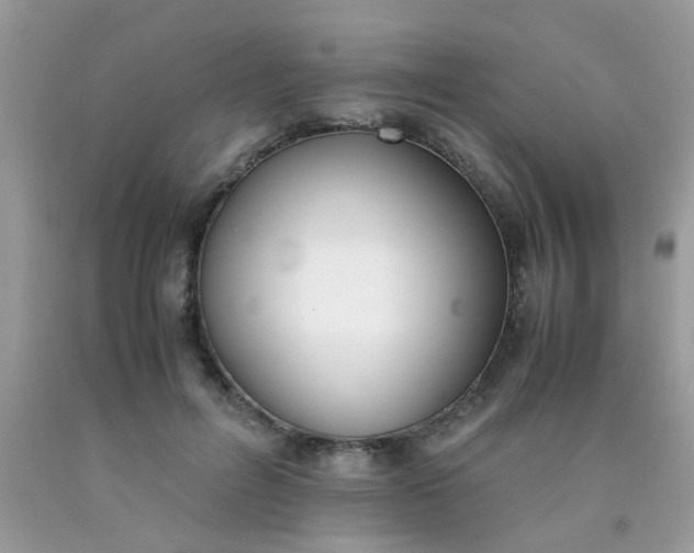 X0000090410600200707272051
