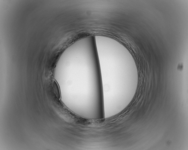 X0000090410601200707272051