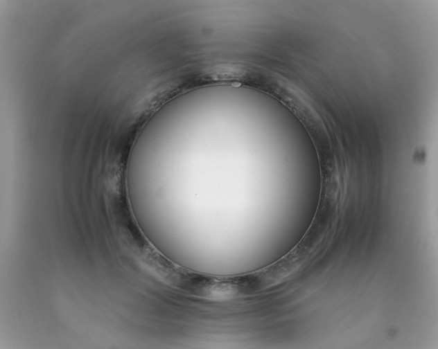X0000090410604200707272051