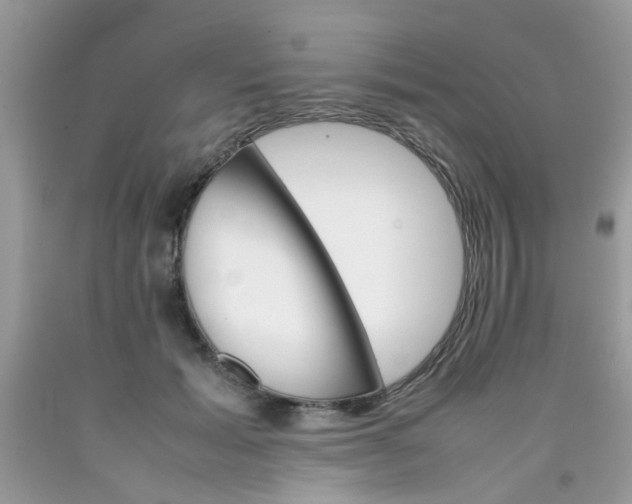 X0000090410605200707272051