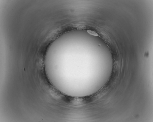 X0000090410609200707272051