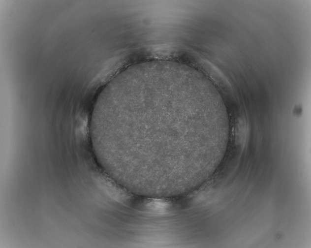 X0000090410610200707272051