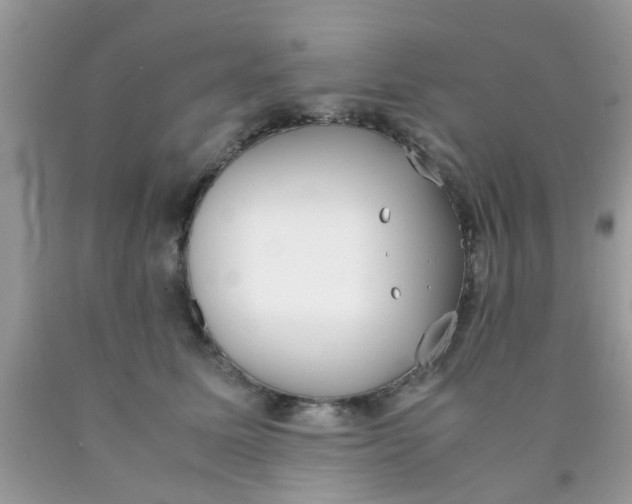 X0000090410611200707272051