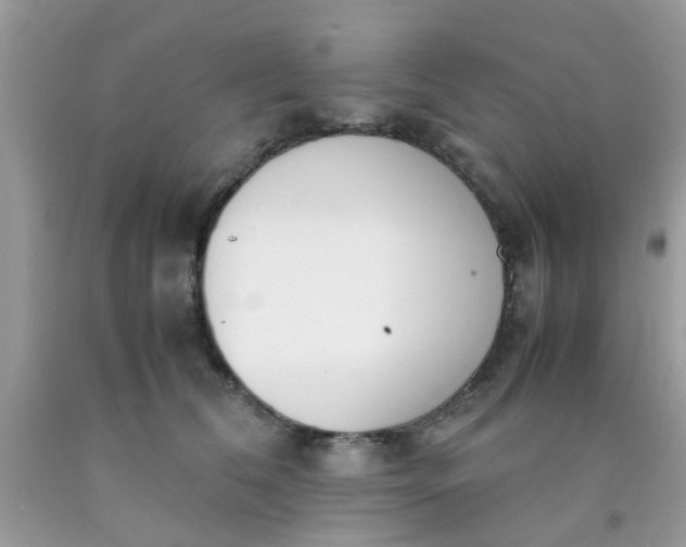 X0000090410612200707272051