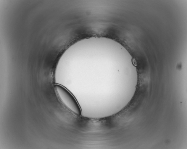 X0000090410613200707272051