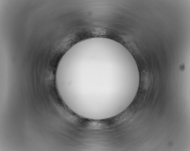 X0000090410614200707272051