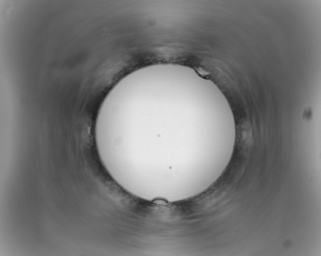X0000090410615200707272051