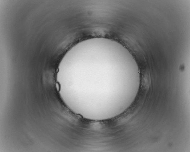 X0000090410616200707272051