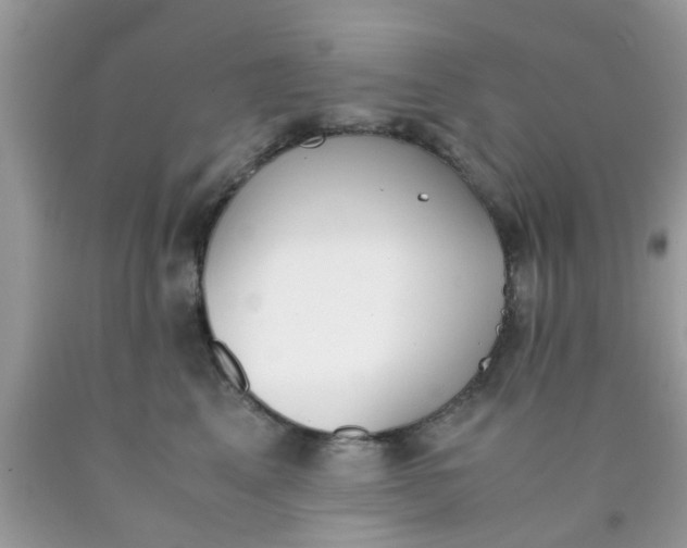 X0000090410617200707272051