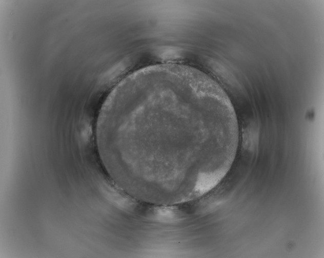 X0000090410618200707272050