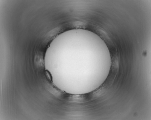 X0000090410622200707272050