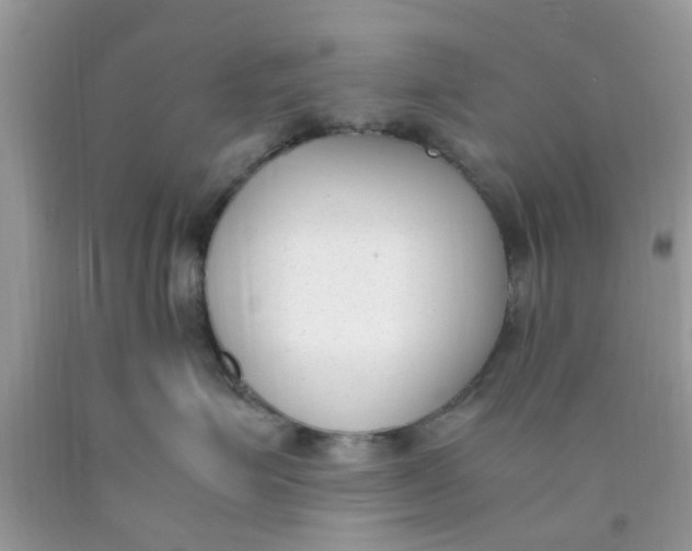 X0000090410623200707272050