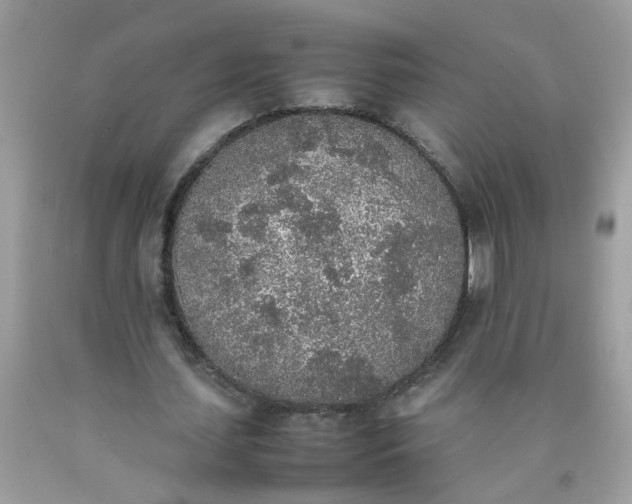 X0000090410627200707272050