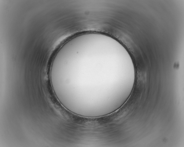 X0000090410628200707272050