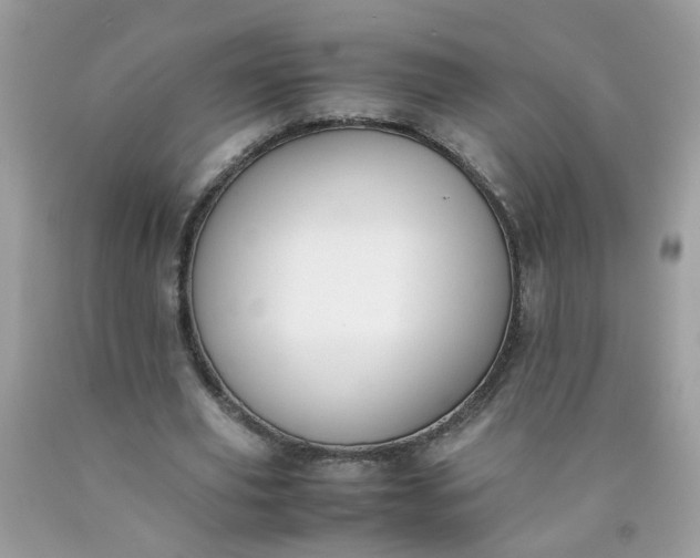 X0000090410629200707272050