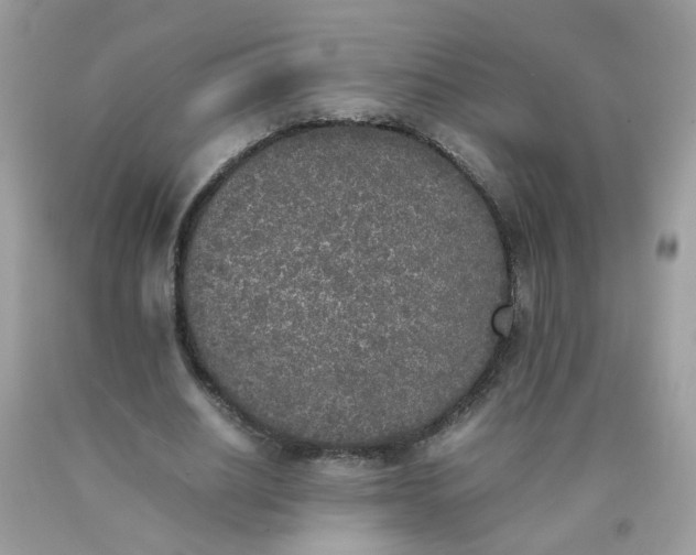 X0000090410630200707272050
