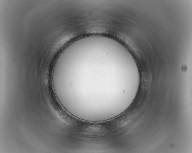 X0000090410631200707272050