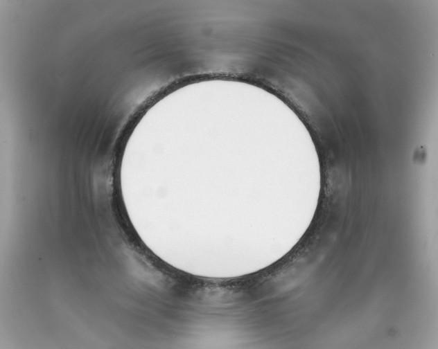 X0000090410632200707272050
