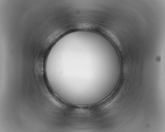 X0000090410633200707272050