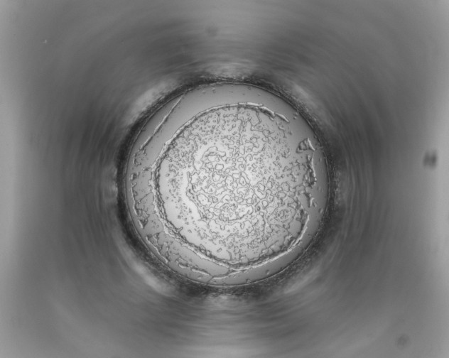 X0000090410634200707272050