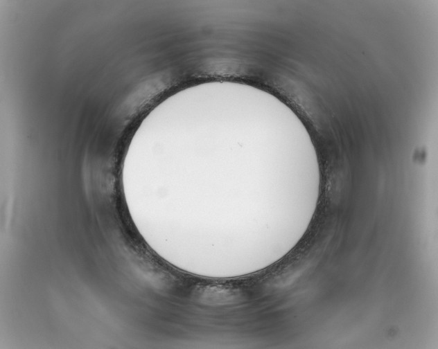 X0000090410635200707272050