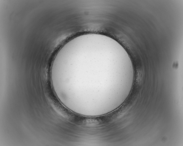 X0000090410636200707272050