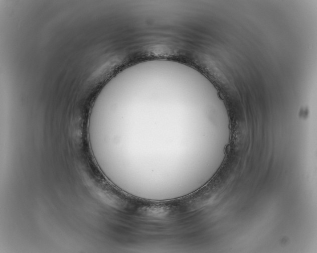 X0000090410639200707272050