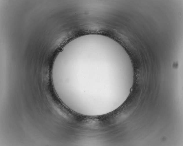 X0000090410642200707272050