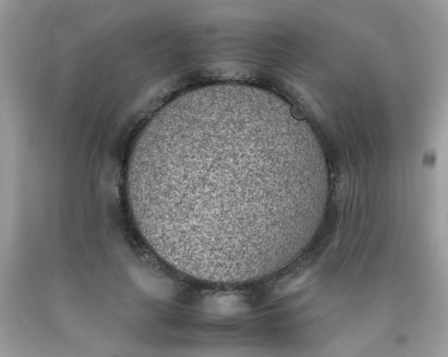 X0000090410643200707272050