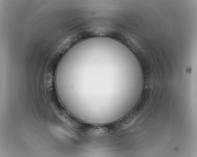 X0000090410646200707272050
