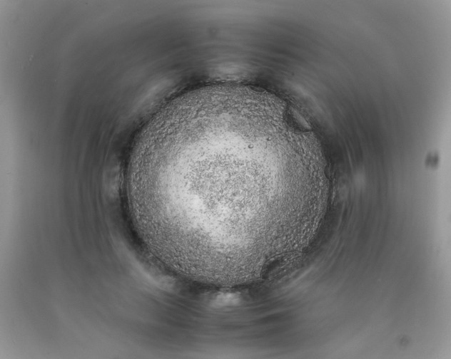 X0000090410647200707272050