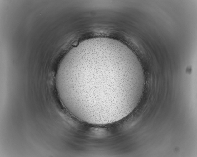 X0000090410649200707272050
