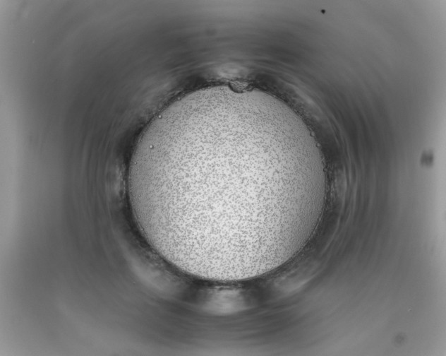 X0000090410651200707272050